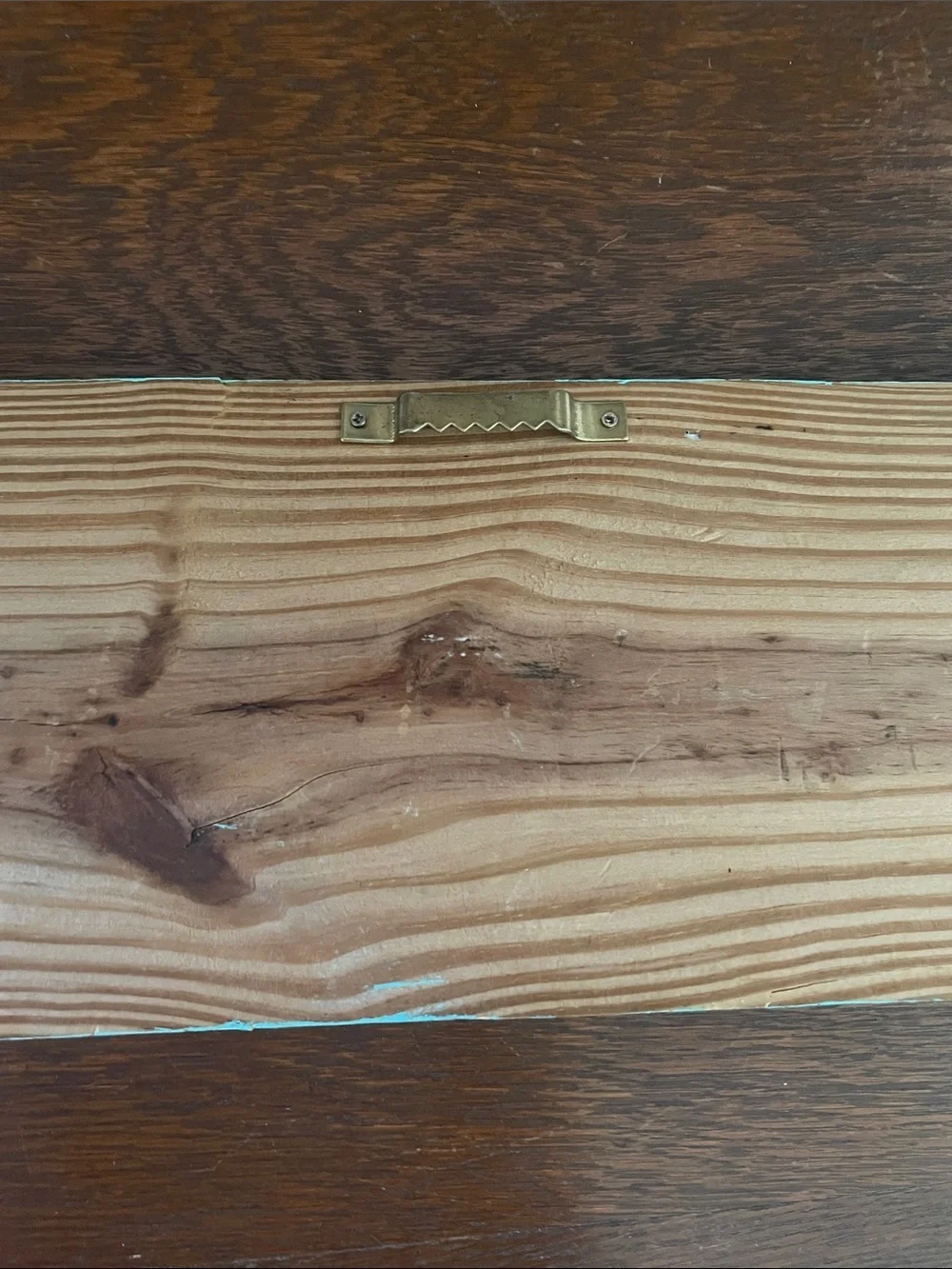 Rustic Minty color Wall Hook wood Panel with Orange Bird Hooks
